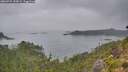 ./images/calvert/foggy-cove/20260725/foggy-cove20260725_144501M.jpg