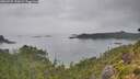 ./images/calvert/foggy-cove/20260725/foggy-cove20260725_145002M.jpg