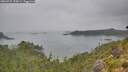 ./images/calvert/foggy-cove/20260725/foggy-cove20260725_150001M.jpg