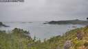 ./images/calvert/foggy-cove/20260725/foggy-cove20260725_150501M.jpg
