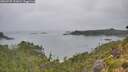 ./images/calvert/foggy-cove/20260725/foggy-cove20260725_151001M.jpg