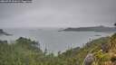 ./images/calvert/foggy-cove/20260725/foggy-cove20260725_201001M.jpg