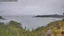 ./images/calvert/foggy-cove/20260725/foggy-cove20260725_202501M.jpg