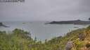 ./images/calvert/foggy-cove/20260725/foggy-cove20260725_203501M.jpg