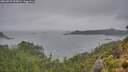 ./images/calvert/foggy-cove/20260725/foggy-cove20260725_205001M.jpg