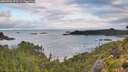 ./images/calvert/foggy-cove/20260726/foggy-cove20260726_073501M.jpg