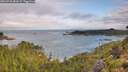 ./images/calvert/foggy-cove/20260726/foggy-cove20260726_081001M.jpg