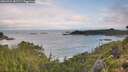 ./images/calvert/foggy-cove/20260726/foggy-cove20260726_081501M.jpg