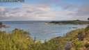 ./images/calvert/foggy-cove/20260726/foggy-cove20260726_083001M.jpg
