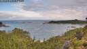 ./images/calvert/foggy-cove/20260726/foggy-cove20260726_090501M.jpg