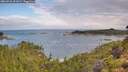 ./images/calvert/foggy-cove/20260726/foggy-cove20260726_091001M.jpg