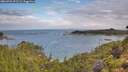 ./images/calvert/foggy-cove/20260726/foggy-cove20260726_091502M.jpg