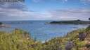 ./images/calvert/foggy-cove/20260726/foggy-cove20260726_092001M.jpg