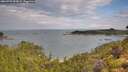 ./images/calvert/foggy-cove/20260726/foggy-cove20260726_093002M.jpg