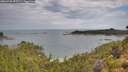 ./images/calvert/foggy-cove/20260726/foggy-cove20260726_093501M.jpg