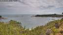 ./images/calvert/foggy-cove/20260726/foggy-cove20260726_094001M.jpg