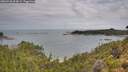 ./images/calvert/foggy-cove/20260726/foggy-cove20260726_094501M.jpg