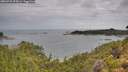 ./images/calvert/foggy-cove/20260726/foggy-cove20260726_095001M.jpg