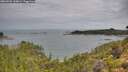 ./images/calvert/foggy-cove/20260726/foggy-cove20260726_100001M.jpg