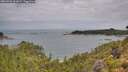 ./images/calvert/foggy-cove/20260726/foggy-cove20260726_101001M.jpg