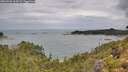 ./images/calvert/foggy-cove/20260726/foggy-cove20260726_104501M.jpg