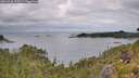 ./images/calvert/foggy-cove/20260726/foggy-cove20260726_112501M.jpg