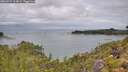 ./images/calvert/foggy-cove/20260726/foggy-cove20260726_113001M.jpg