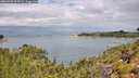 ./images/calvert/foggy-cove/20260726/foggy-cove20260726_113501M.jpg