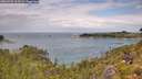 ./images/calvert/foggy-cove/20260726/foggy-cove20260726_115501M.jpg