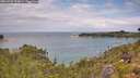 ./images/calvert/foggy-cove/20260726/foggy-cove20260726_120001M.jpg