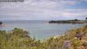 ./images/calvert/foggy-cove/20260726/foggy-cove20260726_120501M.jpg