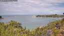 ./images/calvert/foggy-cove/20260726/foggy-cove20260726_121001M.jpg