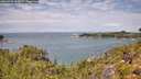 ./images/calvert/foggy-cove/20260726/foggy-cove20260726_123001M.jpg