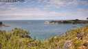 ./images/calvert/foggy-cove/20260726/foggy-cove20260726_124001M.jpg
