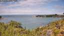 ./images/calvert/foggy-cove/20260726/foggy-cove20260726_125001M.jpg