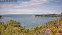 ./images/calvert/foggy-cove/20260726/foggy-cove20260726_125501M.jpg