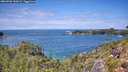 ./images/calvert/foggy-cove/20260726/foggy-cove20260726_130501M.jpg