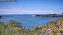 ./images/calvert/foggy-cove/20260726/foggy-cove20260726_131001M.jpg