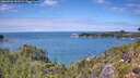 ./images/calvert/foggy-cove/20260726/foggy-cove20260726_133501M.jpg