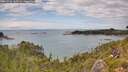 ./images/calvert/foggy-cove/20260726/foggy-cove20260726_145501M.jpg