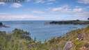 ./images/calvert/foggy-cove/20260726/foggy-cove20260726_151002M.jpg