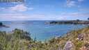 ./images/calvert/foggy-cove/20260726/foggy-cove20260726_152001M.jpg