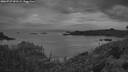 ./images/calvert/foggy-cove/20260727/foggy-cove20260727_051501M.jpg