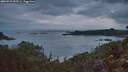 ./images/calvert/foggy-cove/20260727/foggy-cove20260727_052501M.jpg