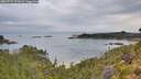 ./images/calvert/foggy-cove/20260727/foggy-cove20260727_073001M.jpg