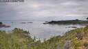 ./images/calvert/foggy-cove/20260727/foggy-cove20260727_083001M.jpg