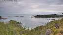./images/calvert/foggy-cove/20260727/foggy-cove20260727_083501M.jpg