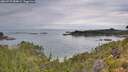 ./images/calvert/foggy-cove/20260727/foggy-cove20260727_084001M.jpg