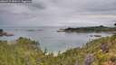 ./images/calvert/foggy-cove/20260727/foggy-cove20260727_085001M.jpg
