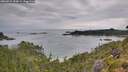 ./images/calvert/foggy-cove/20260727/foggy-cove20260727_090002M.jpg